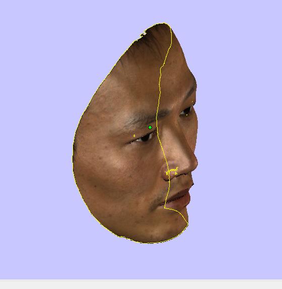 人脸面具打印