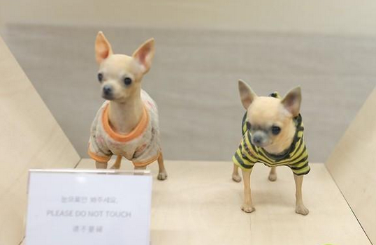 全彩3D打印宠物狗模型